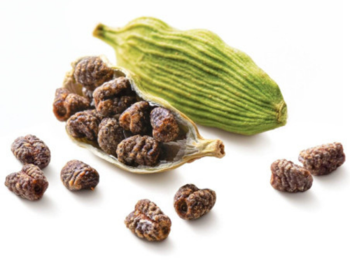 Gaza cardamom seeds 100 gm