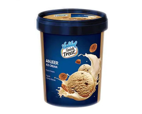 Vadilal anjeer ice cream 500 ml