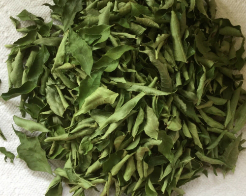 Rudra bay leaves (curry leaves) 100grm